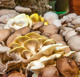 A full bowl of nuts and fruits